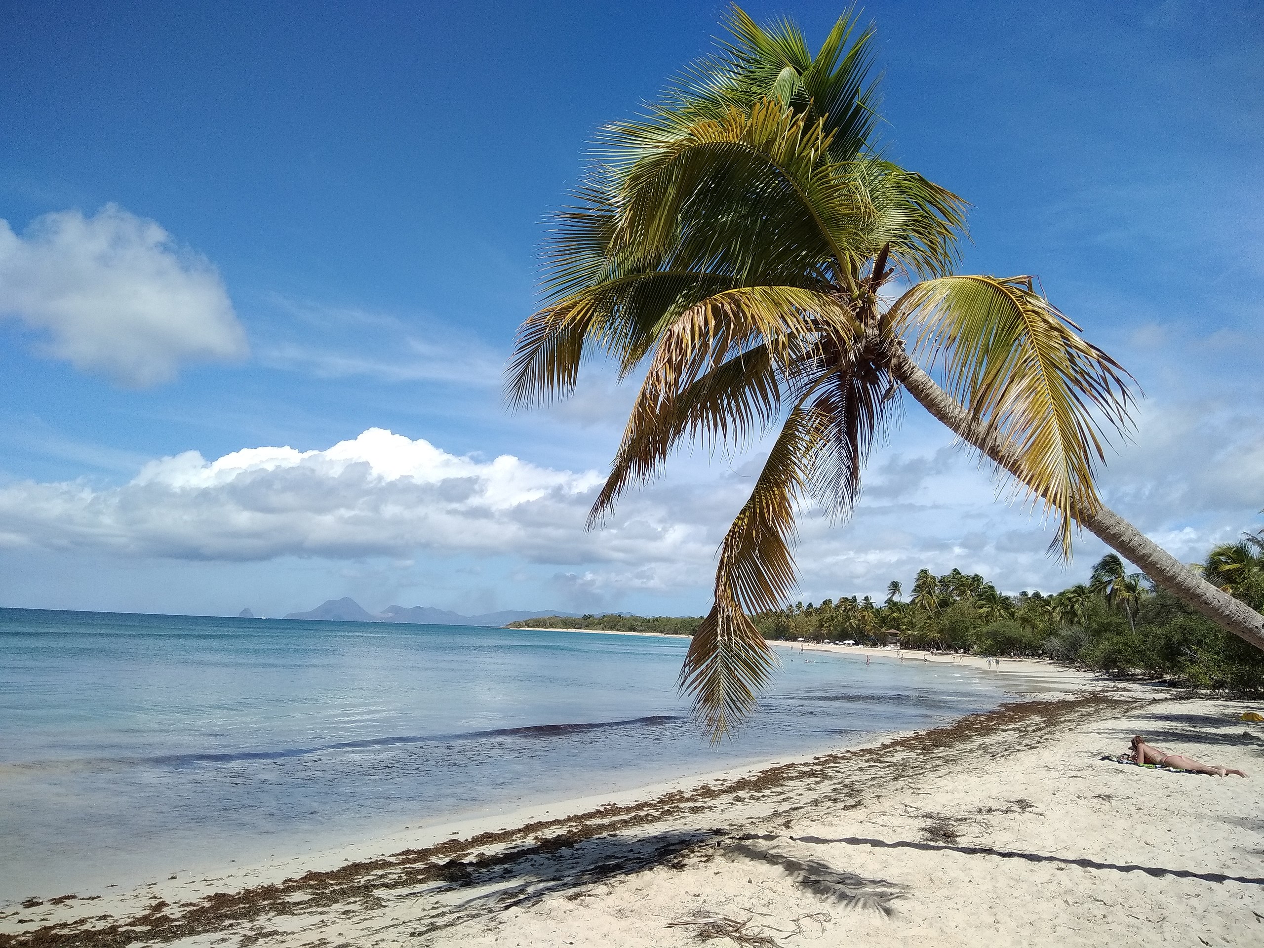 Les plages de Martinique